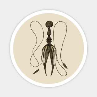 Squid Illustration Magnet